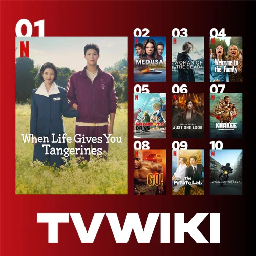 티비위키-2026-최신주소-바로가기